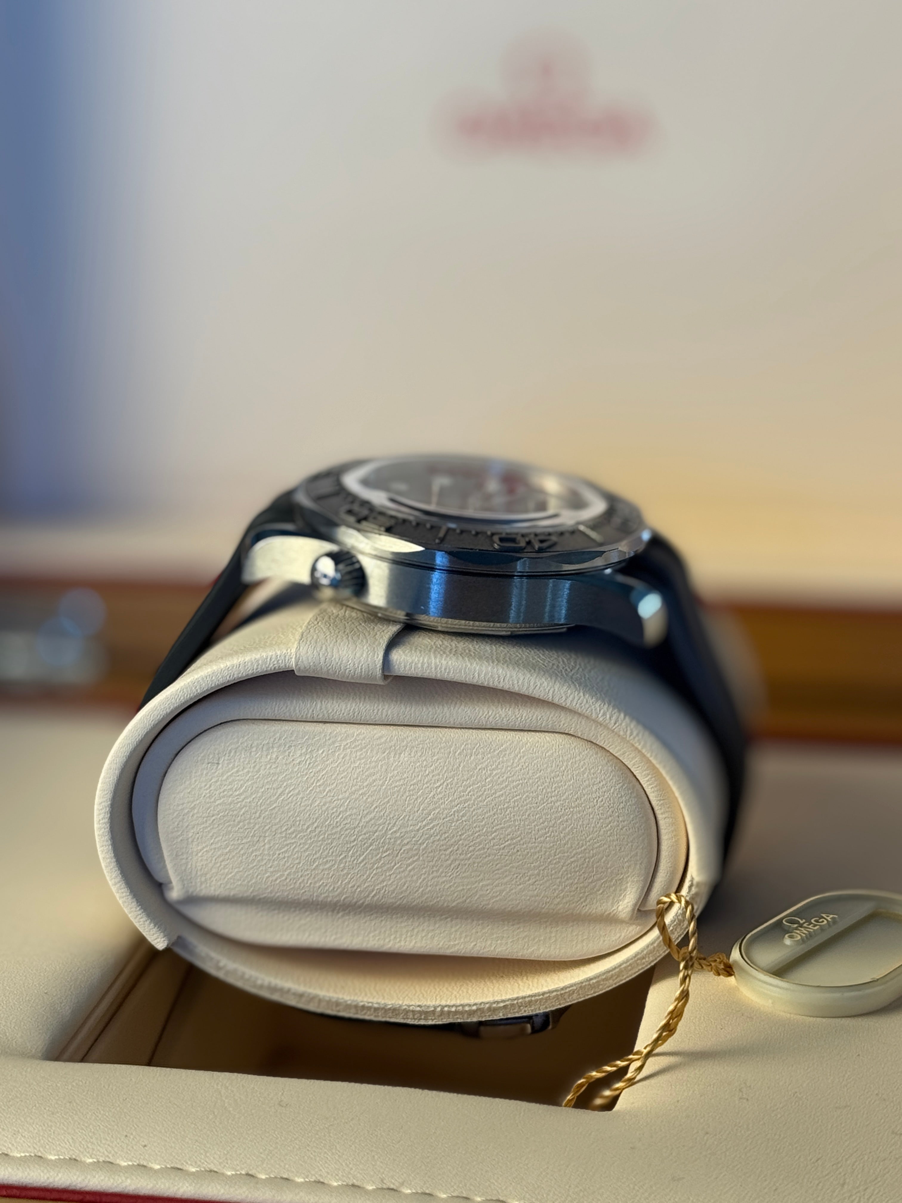 Omega Seamaster Diver