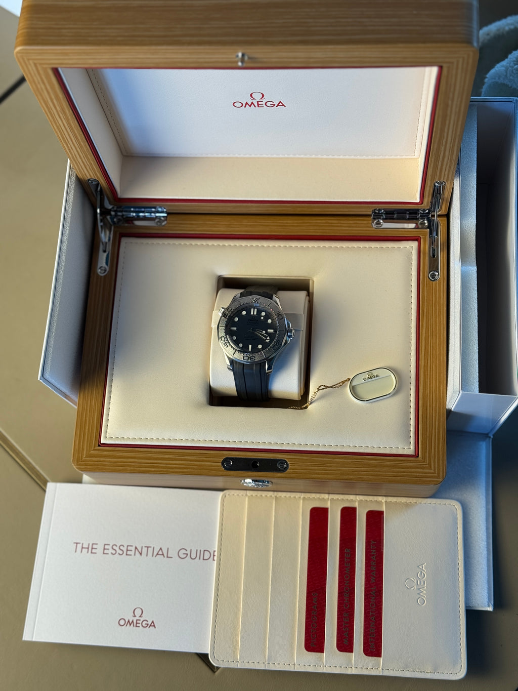 Omega Seamaster Diver
